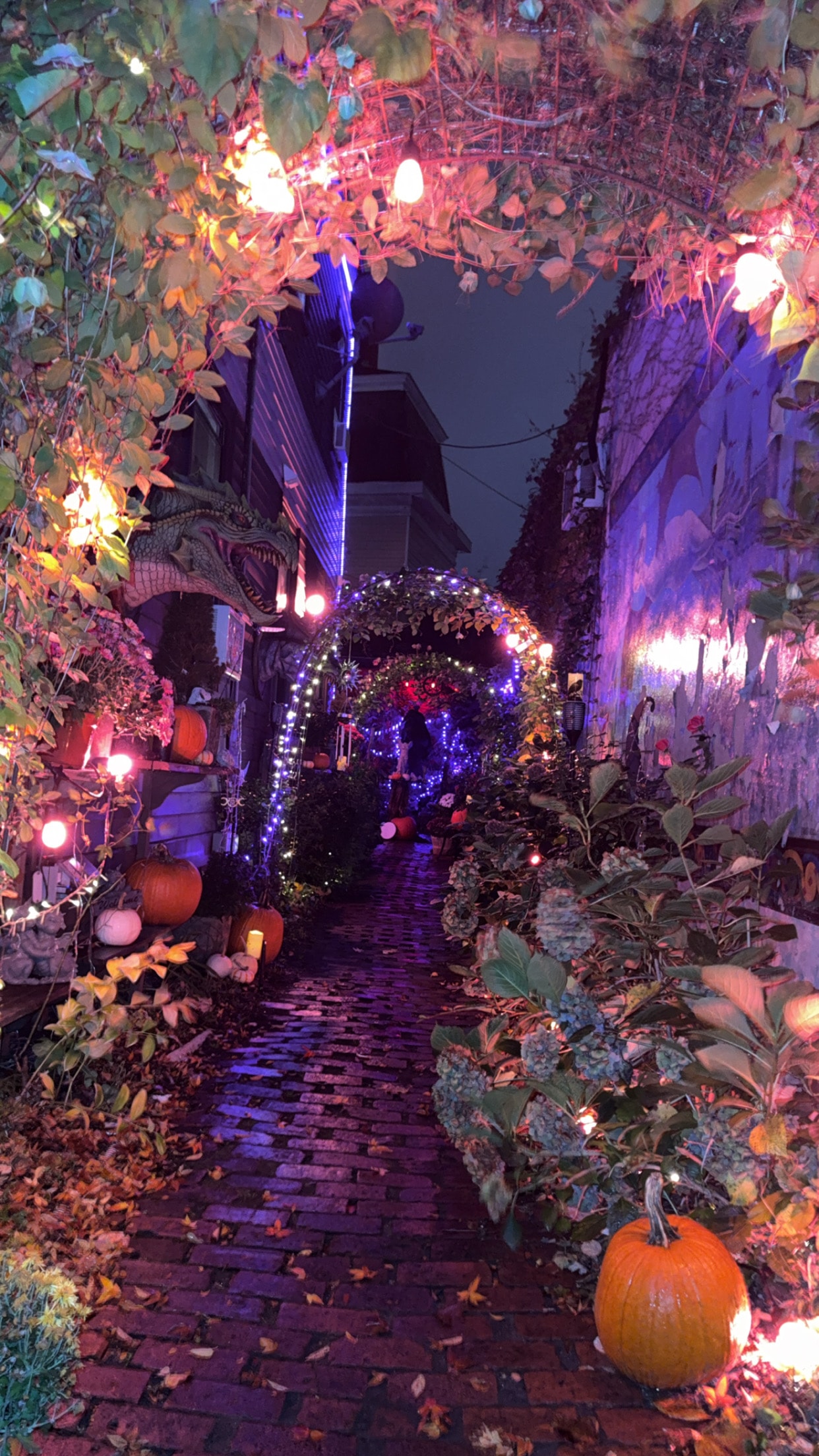 Illuminated alleyway in Salem, Massachusetts